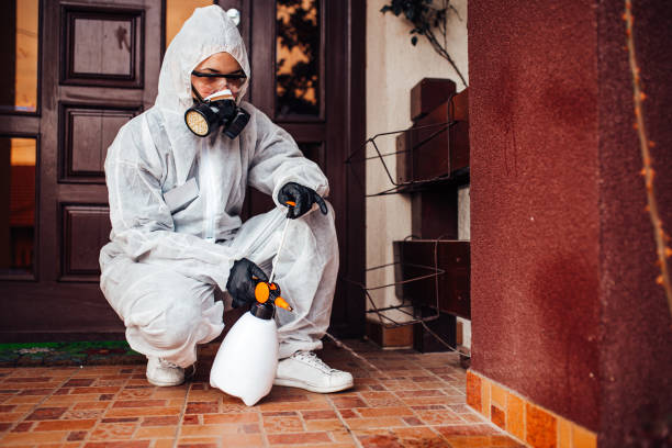 Reliable Cockroach Control contractor in Leonville, LA by Nex Pest Control