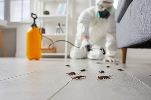 Trusted Fumigation Services service in Leonville, LA - Nex Pest Control